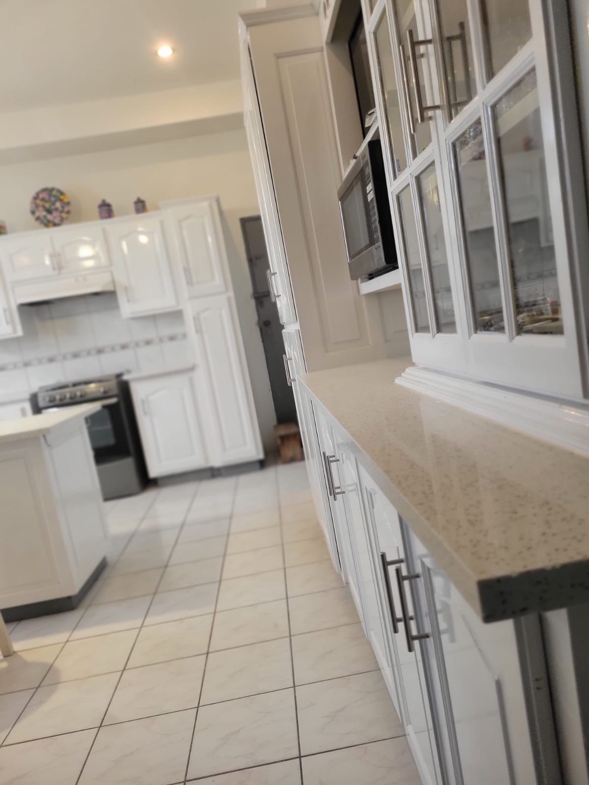 Modern Custom Kitchen